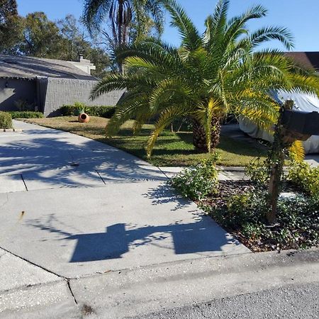 Beautiful Apartment Close To Everything Tampa Esterno foto
