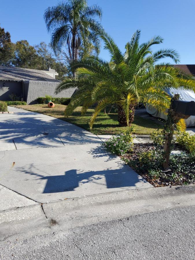 Beautiful Apartment Close To Everything Tampa Esterno foto