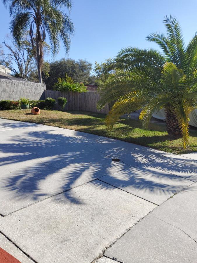 Beautiful Apartment Close To Everything Tampa Esterno foto