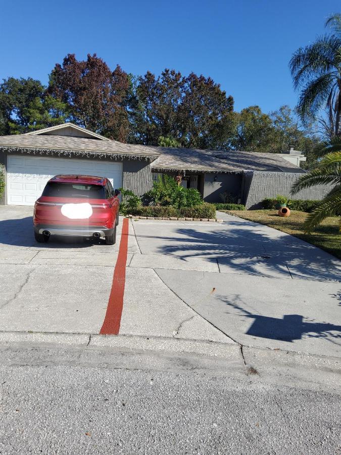 Beautiful Apartment Close To Everything Tampa Esterno foto