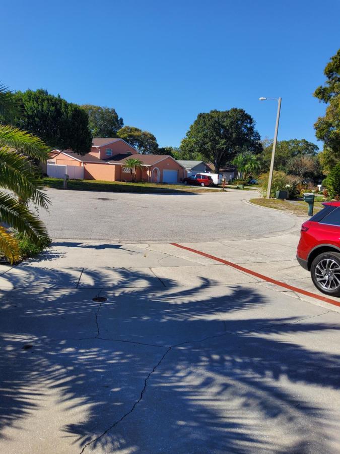 Beautiful Apartment Close To Everything Tampa Esterno foto