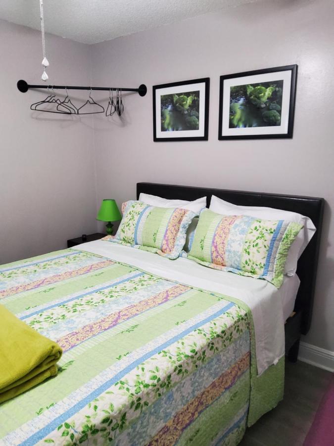 Beautiful Apartment Close To Everything Tampa Esterno foto