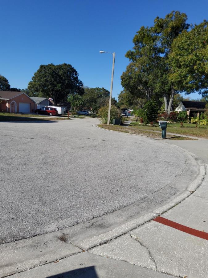 Beautiful Apartment Close To Everything Tampa Esterno foto